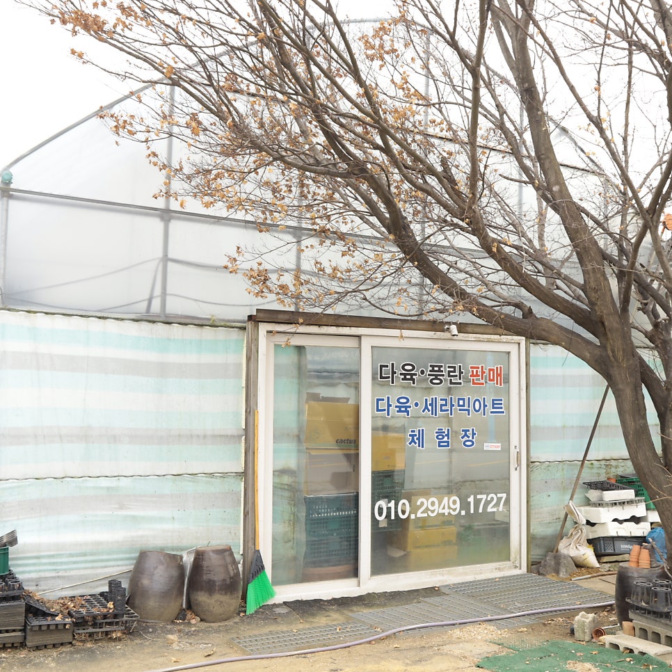 미란꽃농원 사진 3