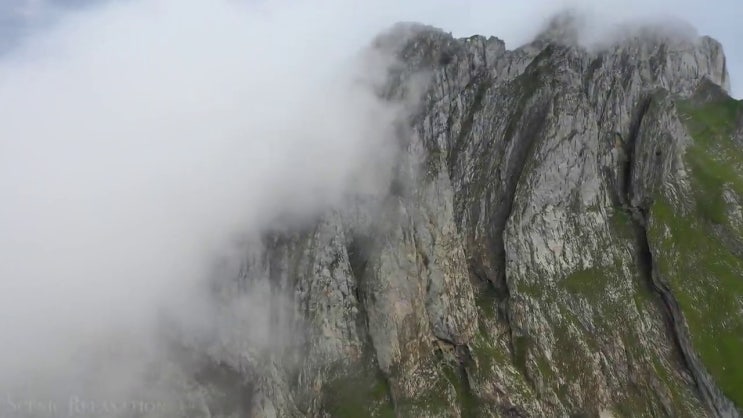  산림 기사 자격 학점은행제 전문학사 정보 꾸러미 ?