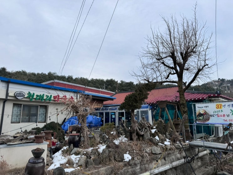  속초 현지 맛집 청대리막국수 청초호 근처 내돈내산