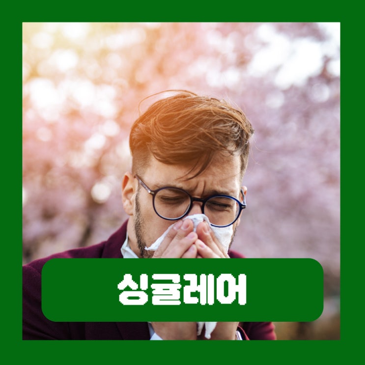  싱귤레어정 10mg 싱귤레어츄정 세립 부작용 천식 알레르기 비염약 복용법