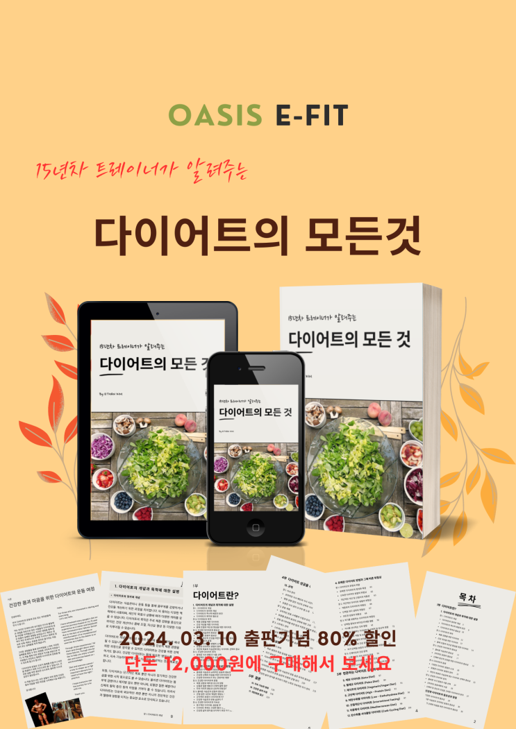  "15년차 트레이너가 알려주는 다이어트의 모든 것" [전자책 출판]