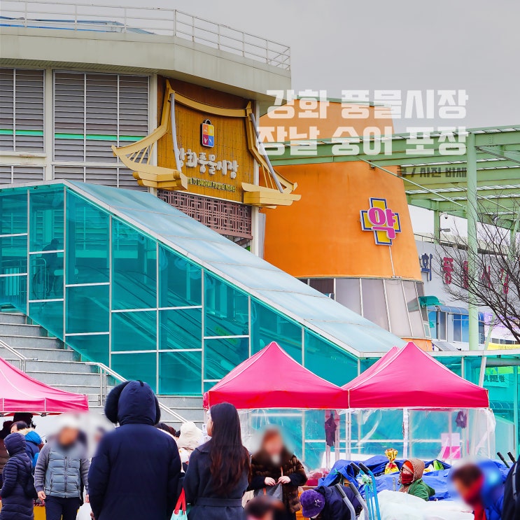  강화도 여행 강화풍물시장 장날 횟집 숭어 포장