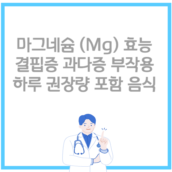 마그네슘 (Mg) 효능 결핍증 과다증 부작용 권장량 포함 음식