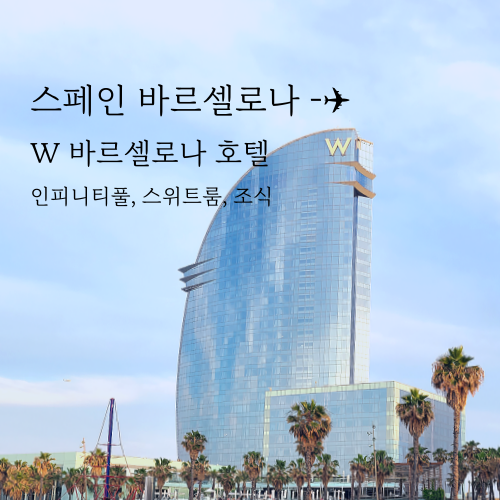  스페인 바르셀로나 호텔 - W Barcelona 스위트룸과 인피니티 풀 후기