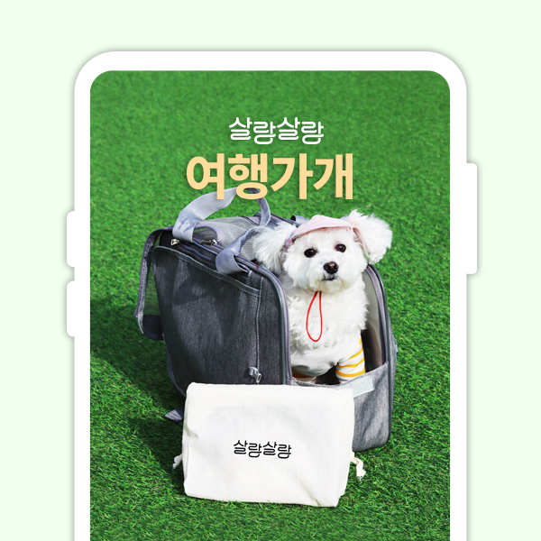  애견 반려견 반려동물 여행 키트 상세페이지 사진촬영