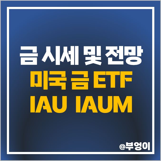 금투자 방법 미국 금ETF IAU IAUM 오늘의 국제 금 시세 전망 금투자 방법 미국 금ETF IAU IAUM 오늘의 국제 금 시세 전망