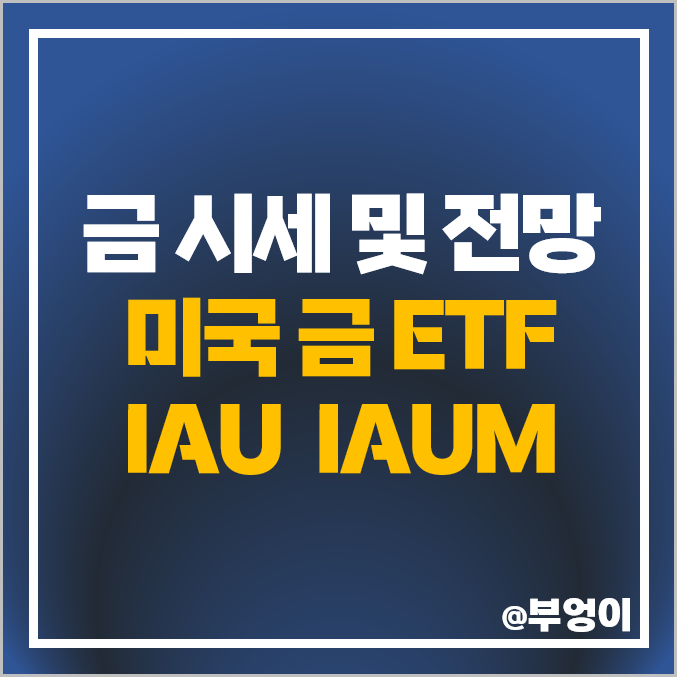 금투자 방법 미국 금ETF IAU IAUM 오늘의 국제 금 시세 전망