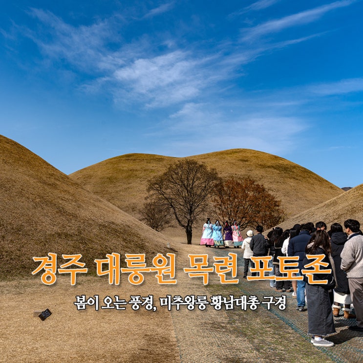  경주 대릉원 목련 포토존 개화 상태, 미추왕릉 황남대총 구경