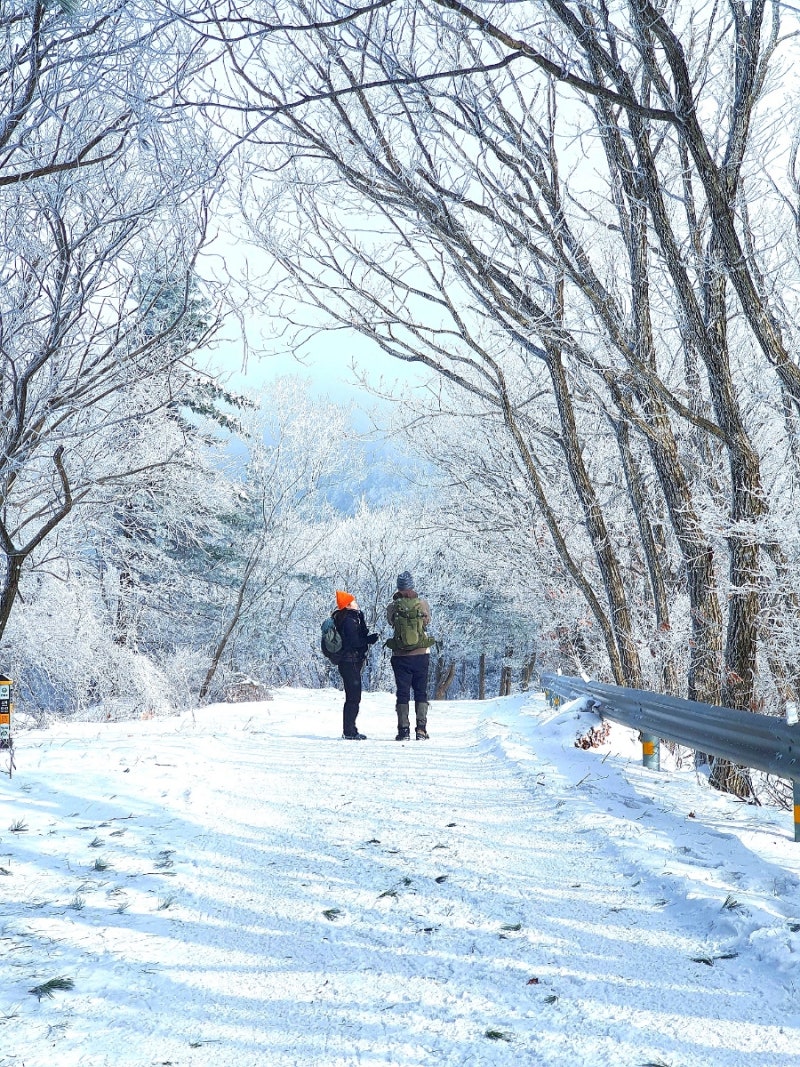 영주 가볼만한곳 희방사 희방폭포 소백산 기슭 850m : 네이버 블로그