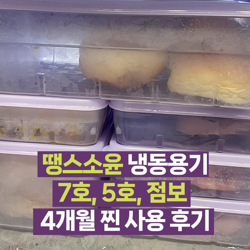 땡스소윤 냉동용기 7호, 5호, 점보 사이즈 4개월 사용하고 남기는 장점 단점 솔직 후기
