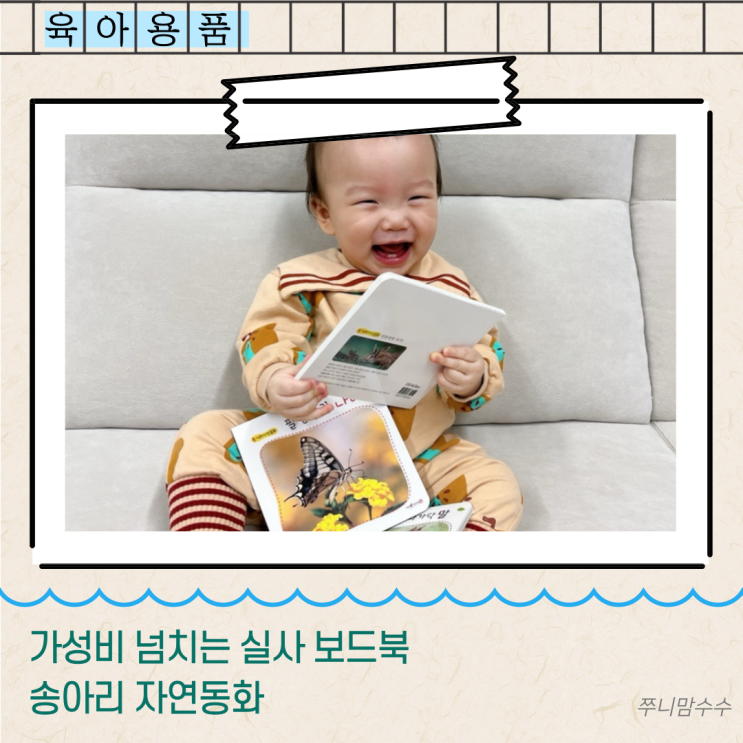  가성비 넘치는 실사 보드북 송아리 자연동화
