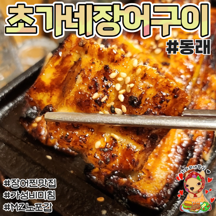  안락동 맛집 초가네장어구이 장어 가성비 술집