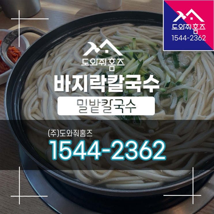  [도와줘홈즈 오늘...] 양주시 밀밭칼국수 / 바지락칼국수 #오늘도칼국수엔진심