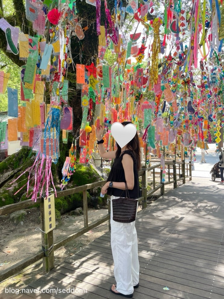  드래곤디퓨전 미니플랫고라 다크브라운 실사용 후기 및 사계절착용샷