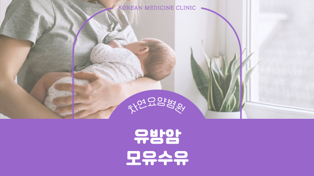  유방암 모유수유 가능여부와 개선