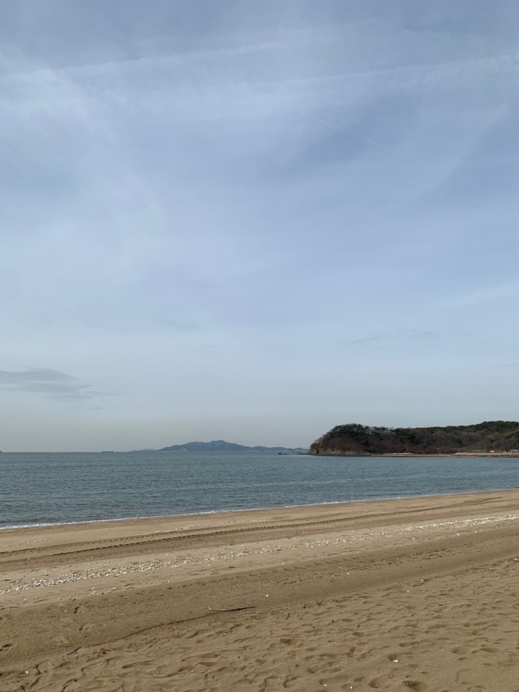 [영흥도] 수영장+스파 풀빌라 소풍재펜션 신사역 후기