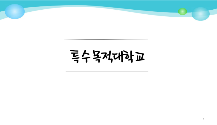  특수목적 대학교