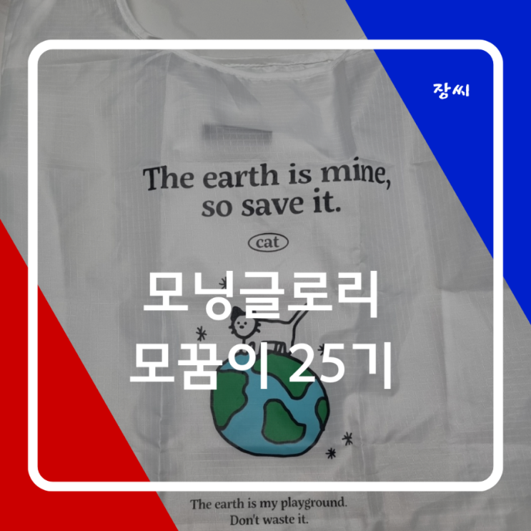  모닝글로리 제품 추천 포켓 장바구니