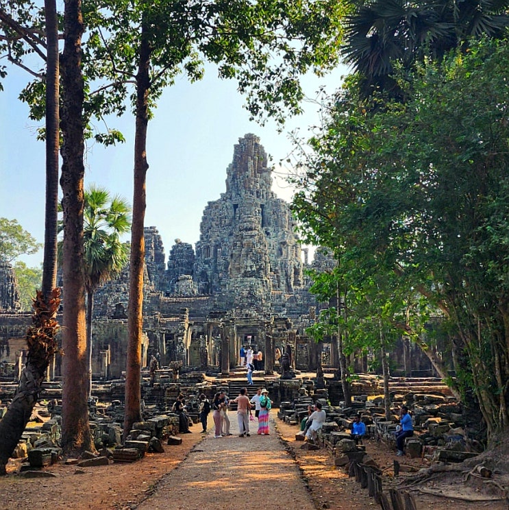 [캄보디아 시엠립 패키지여행] 앙코르톰 남문 타프롬사원 & 바이욘 사원, 코끼리 테라스 툭툭이 관광