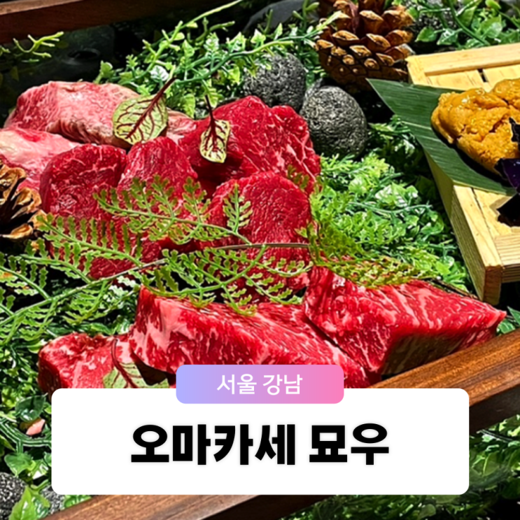  서울 강남 압구정 가성비 소고기 한우 오마카세 묘우