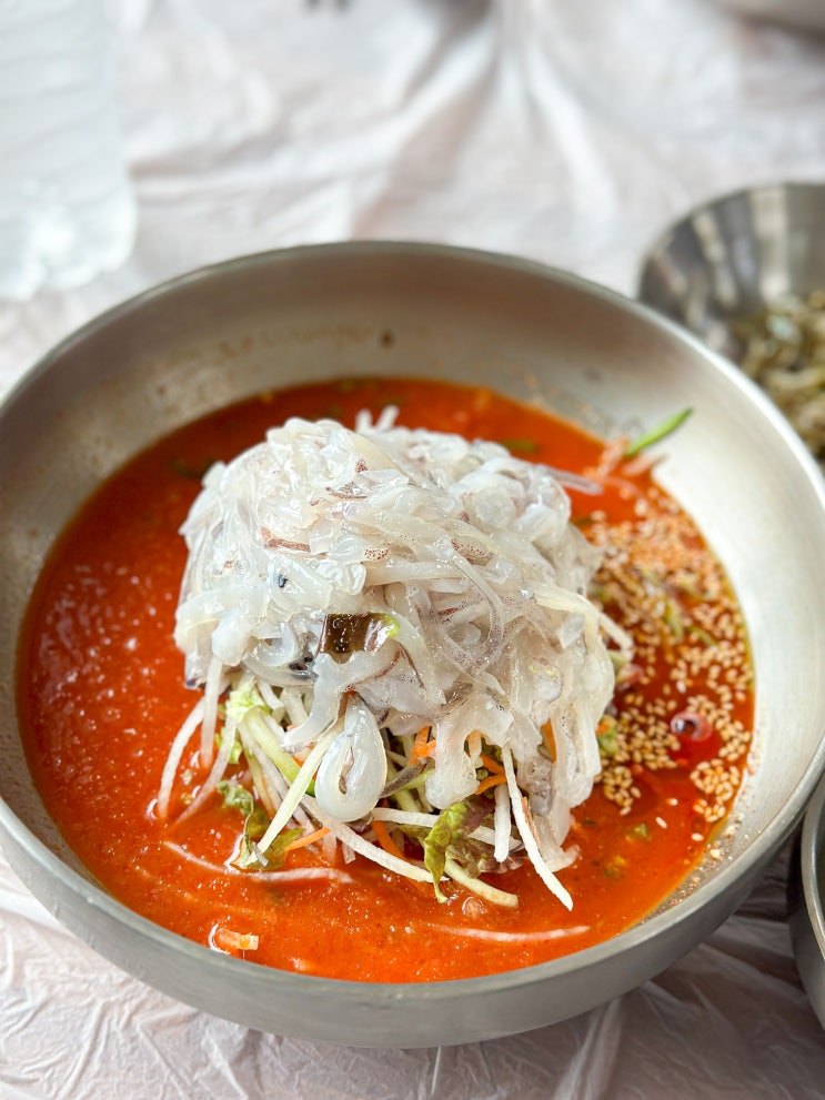  속초 찐 물회맛집  맛도 식감도 좋은 오징어물회 완도회식당 주말 웨이팅