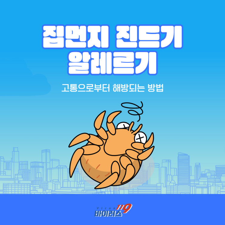  집먼지진드기 알레르기! 예방법과 퇴치법 알아보기