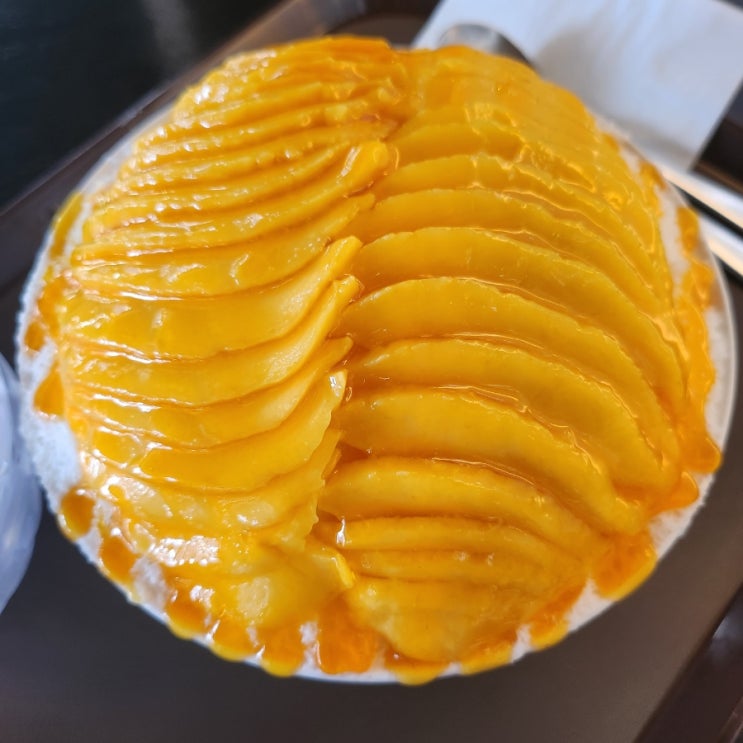  순천 카페스노우 생망고빙수 순천만국가정원 맛집