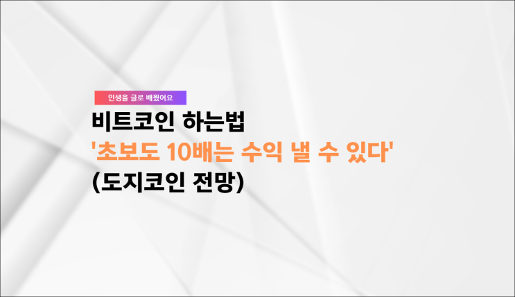  비트코인 하는법 '초보도 10배는 수익 낼 수 있다' (도지코인 전망)