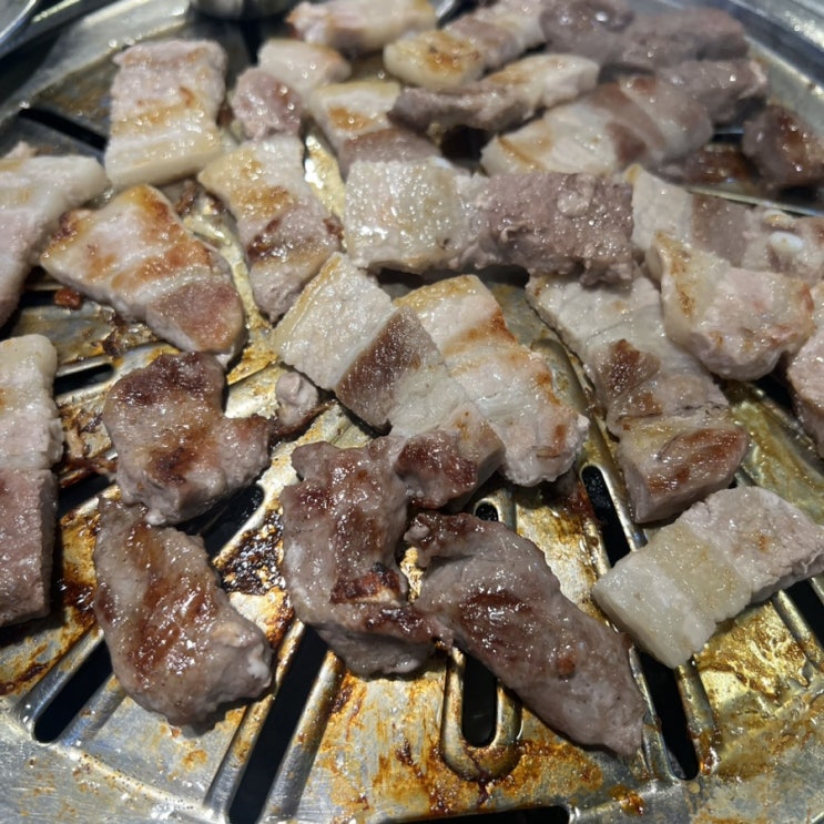  강남역 단체회식 추천하는 강남갈매기