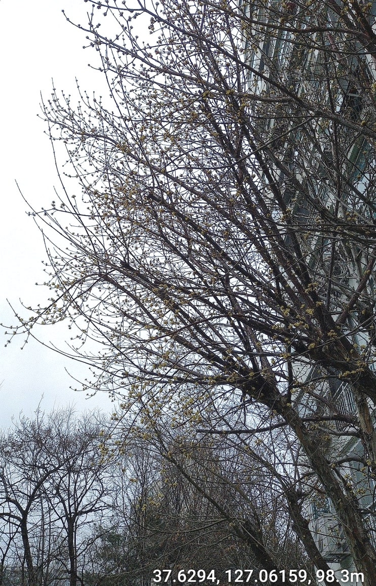 3. 13(수) 경찰관련기사