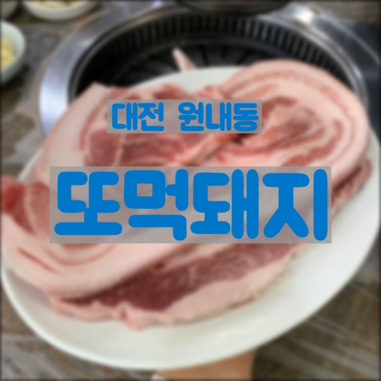  대전 흑돼지삼겹살 맛집 추천 또먹돼지