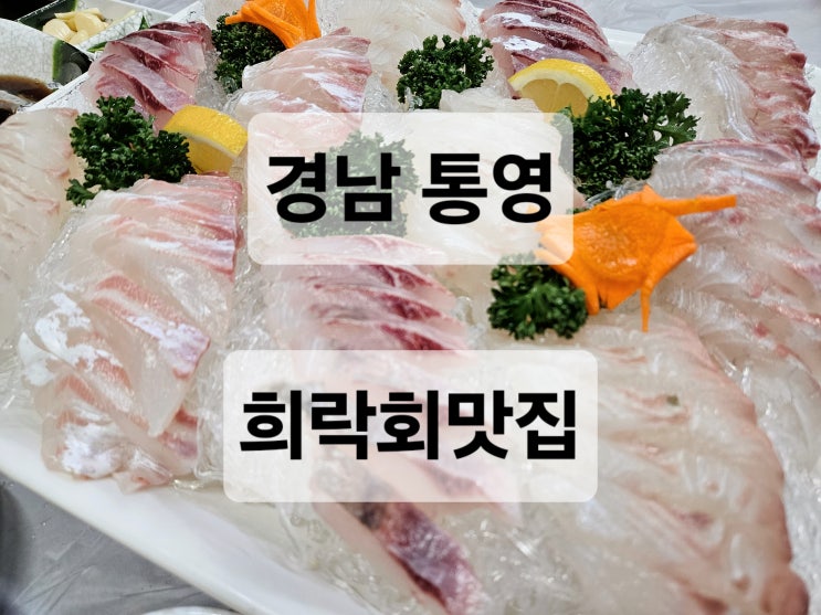  경남 통영 자연산회 맛집 '희락회맛집'