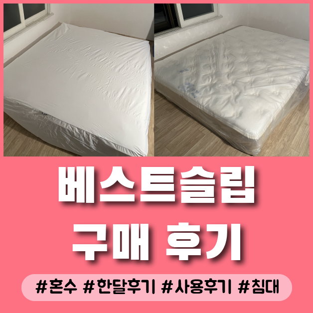  혼수 가구 신혼부부 가성비 매트리스 베스트슬립 브랜드리스 전주점 M5 킹(K)사이즈 구입 한 달 실사용 후기