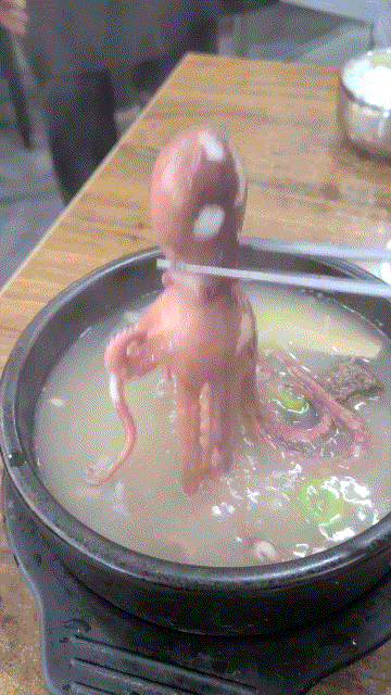  신림 맛집: 숨은 맛집 신안산낙지   갈낙탕 (갈비탕에 낙지와 전복 퐁당)