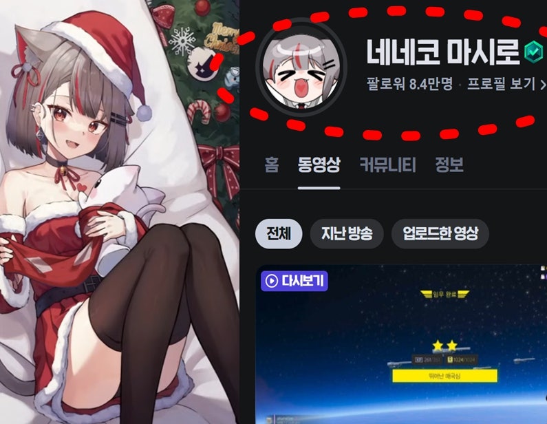 스텔라이브 네네코 마시로 실물 얼굴 & 과거 공개됐던 진짜 이유 (빨간약, 전생, 나이, 프로필....