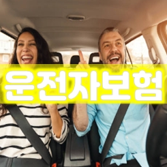  이것만 기억하세요! 운전자보험보상 비교 가입 필수 가이드