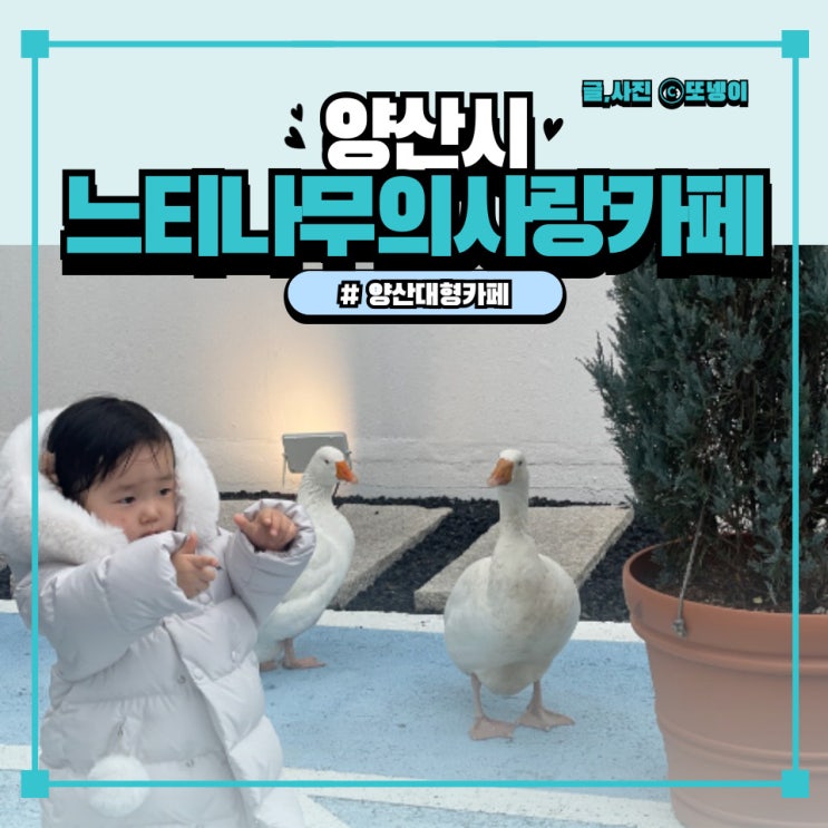  경남 양산 대형카페 아기와 거위구경 가능했던 카페 - ‘느티나무의사랑카페(+통도사,동방축산)’