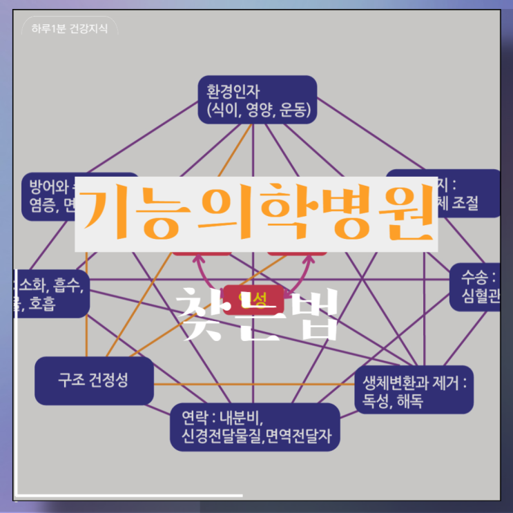  기능의학과 진료과목 병원 찾는 법