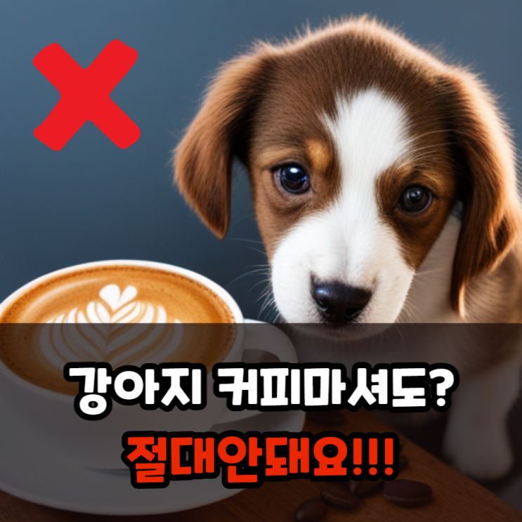  강아지 커피 마시면 위험한 이유(구토, 설사, 카페인 중독 등)