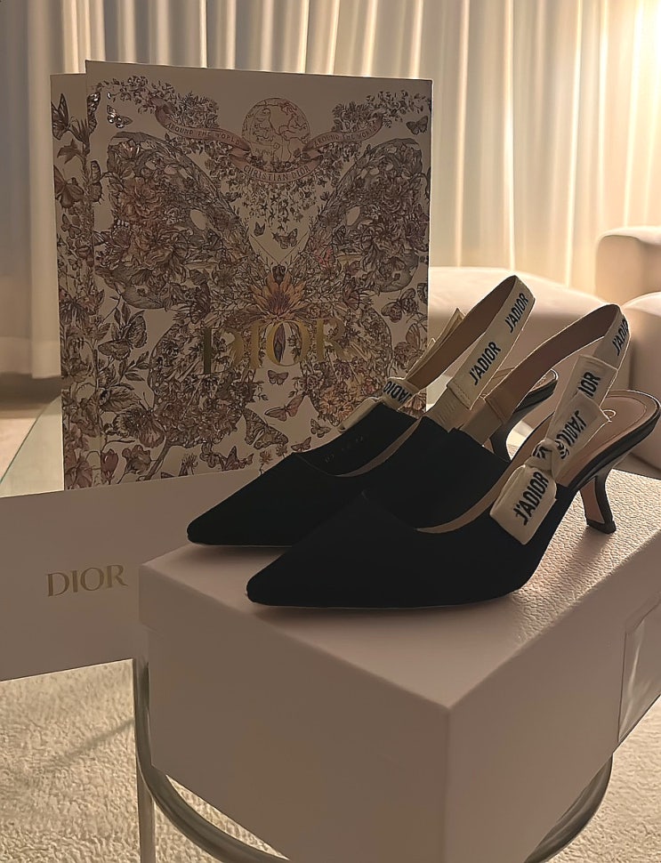  디올 (J'A DIOR) 슬링백 펌프스 6.5cm 후기