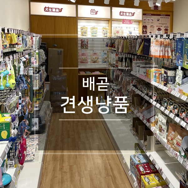  시흥배곧 애견용품매장 강아지 장난감과 간식이 가득했던 24시 무인펫샵