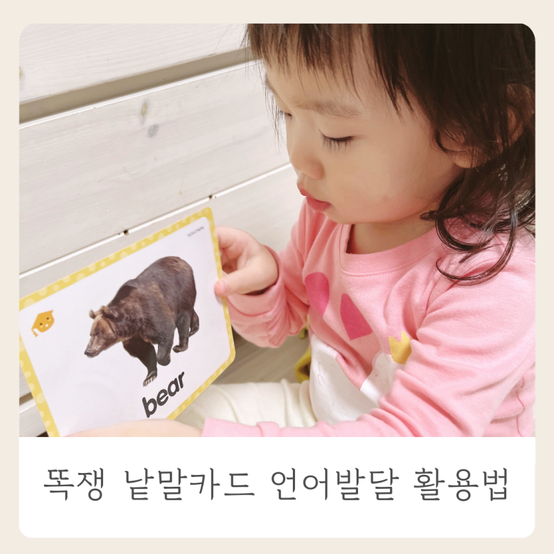블로그 후기 사진
