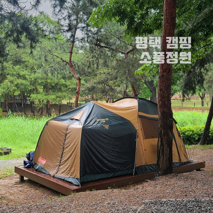  평택 캠핑장, 소풍정원 예약 우중캠핑 2박 사이트