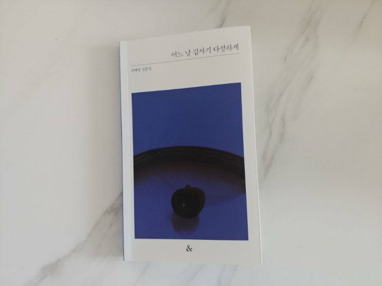  [책] 잔잔한산문집추천 어느날갑자기다정하게
