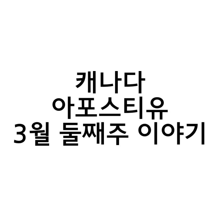  캐나다 졸업장아포스티유 24시간 안에 끝내기!