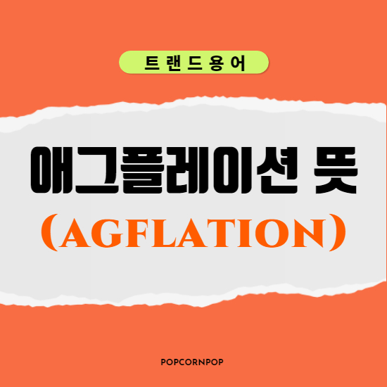  에그(애그)플레이션 뜻과 장바구니 물가 상승의 연관성은?
