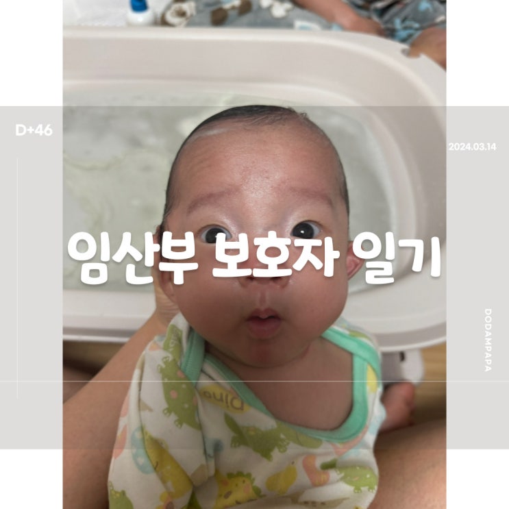2024.03.14 임산부 보호자 일기 D+46일 2024.03.14 임산부 보호자 일기 D+46일