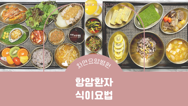  항암환자 식이요법 면역력과 체력을 높이기 위해