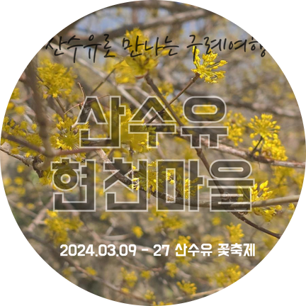  구례 산수유 축제 가던 길 주말 방문 후기  현천 마을 산수유 풍경