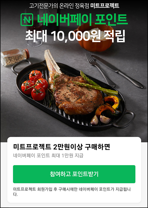 미트프로젝트 네이버페이 2만이상(네페 1만원 지급)페이코할인